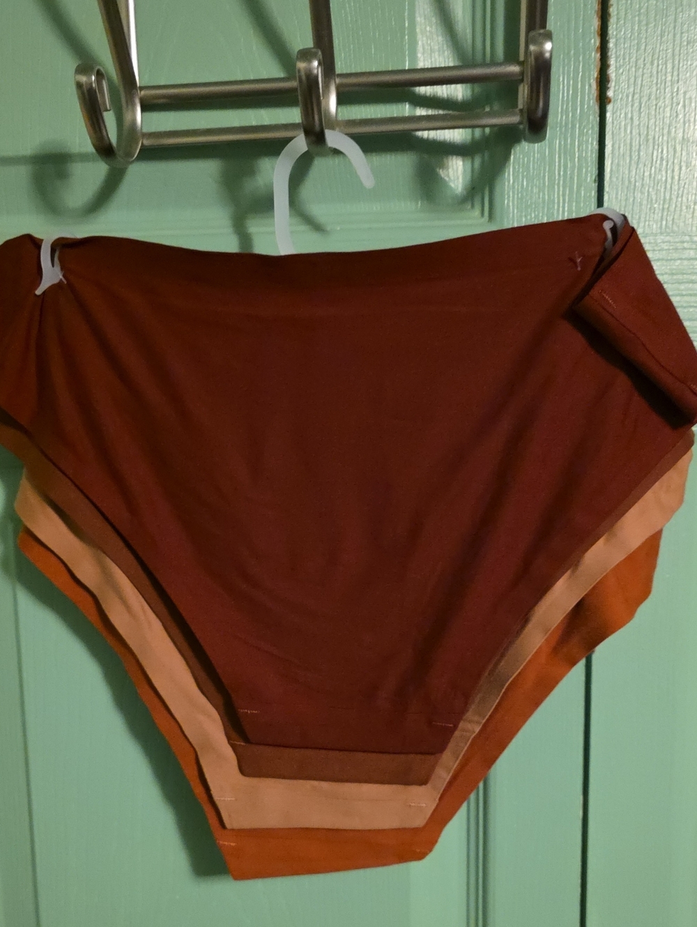 Danskin Briefs 4pr  (NEW ON HANGER) Size Large New WITHOUT tags - Picture 5 of 6